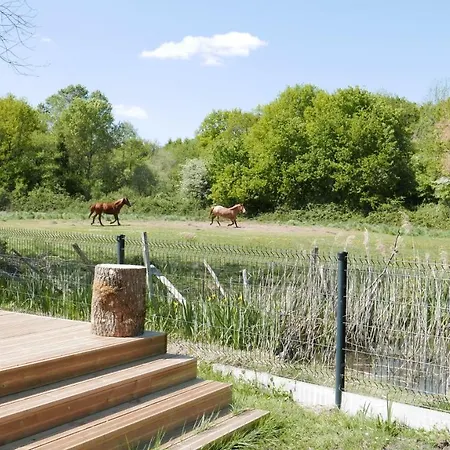 Domaine De La Foret Camping *